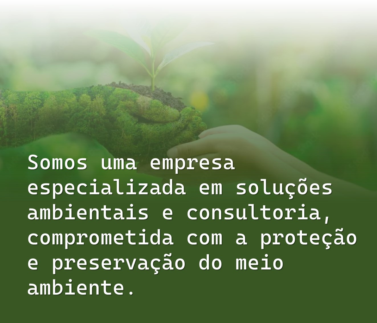 MAS -Soluções Ambientais itabirito  (3).jpg