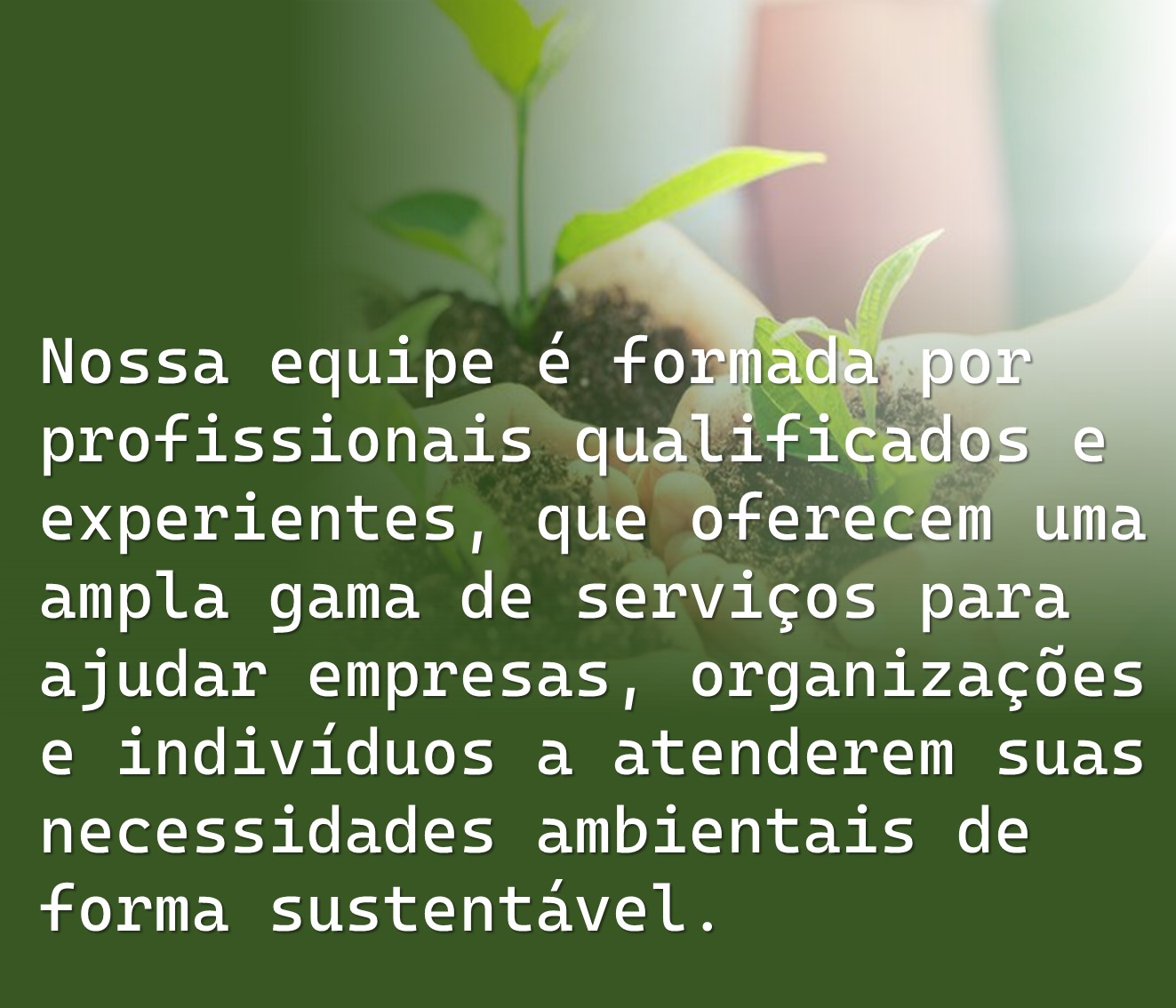 MAS -Soluções Ambientais itabirito  (1).jpg